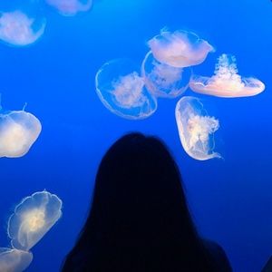 Meet your Posher, Cyanne